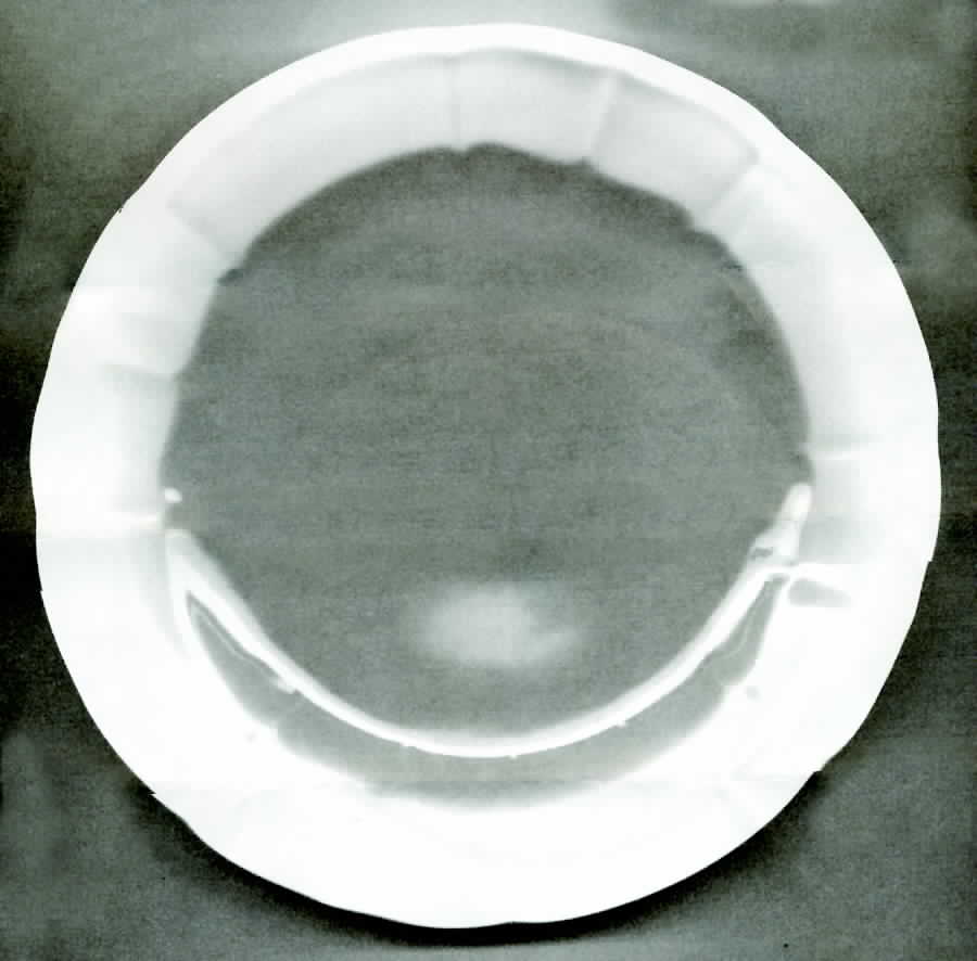 SCH401 Dinner Plate by Schumann - Bavaria-1