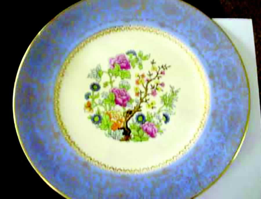 SLM253 Dinner Plate by Salem-1