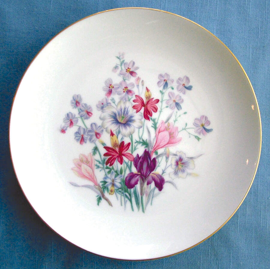 Hacienda Dinner Plate by Sango-1