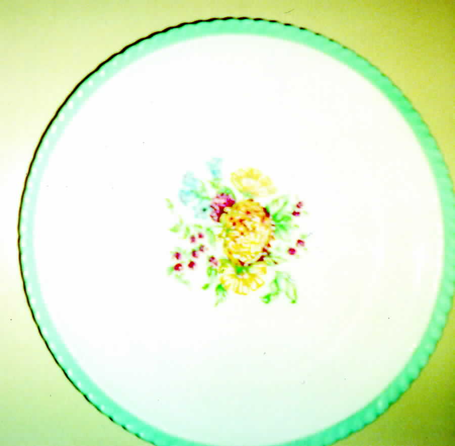 STB273 Dinner Plate by Steubenville-1