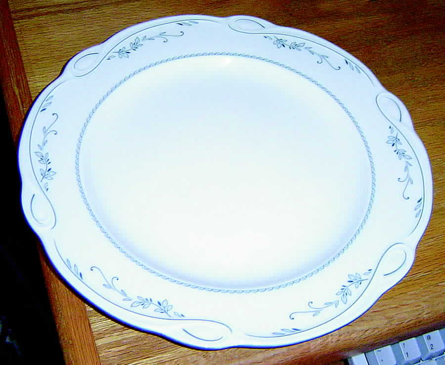 SLT281 14" Oval Serving Platter by Seltmann-1