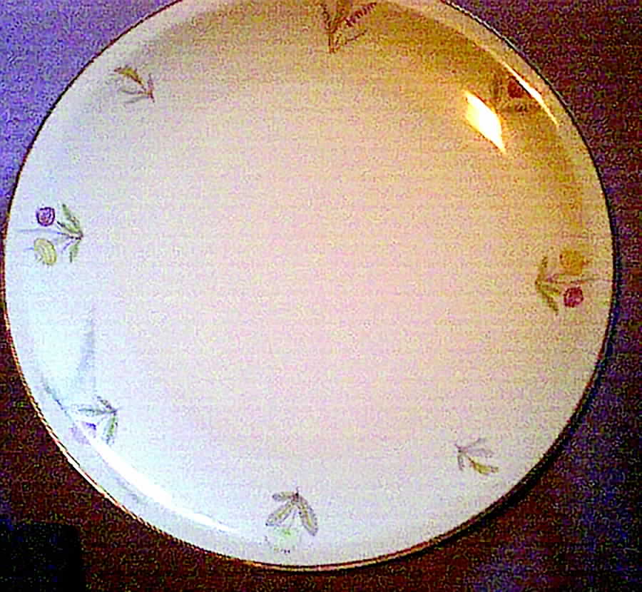 SCG50 Dinner Plate by Schirnding-1