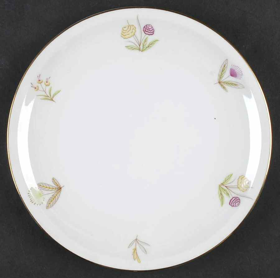SCG50 Salad Plate by Schirnding-1