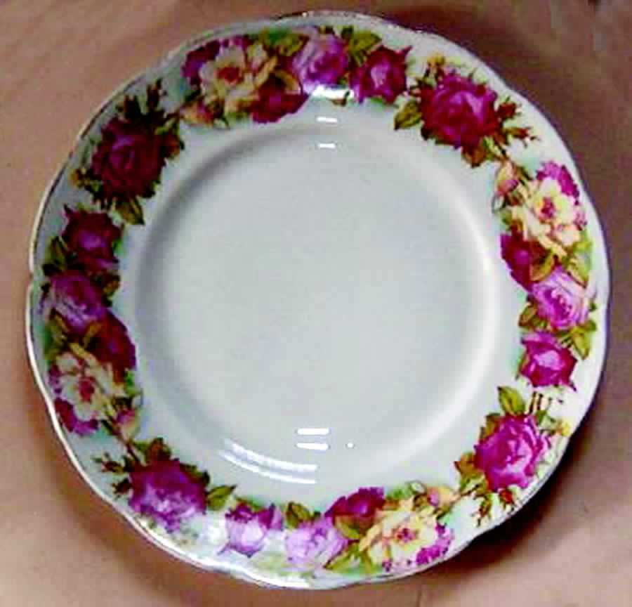 SVR7 Dinner Plate by Sevres (USA)-1