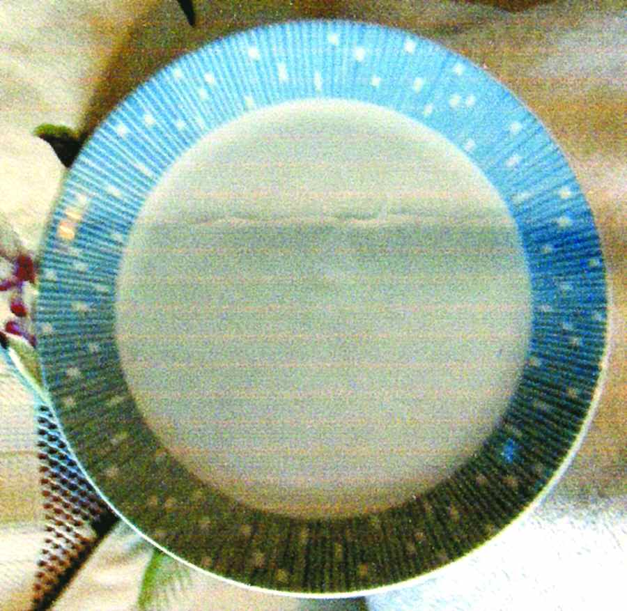 SCD64 Dinner Plate by Schonwald-1