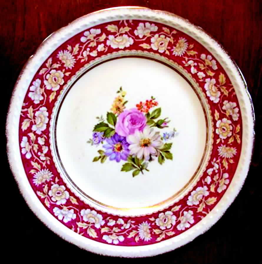SWI144 Dinner Plate by Swinnertons-1
