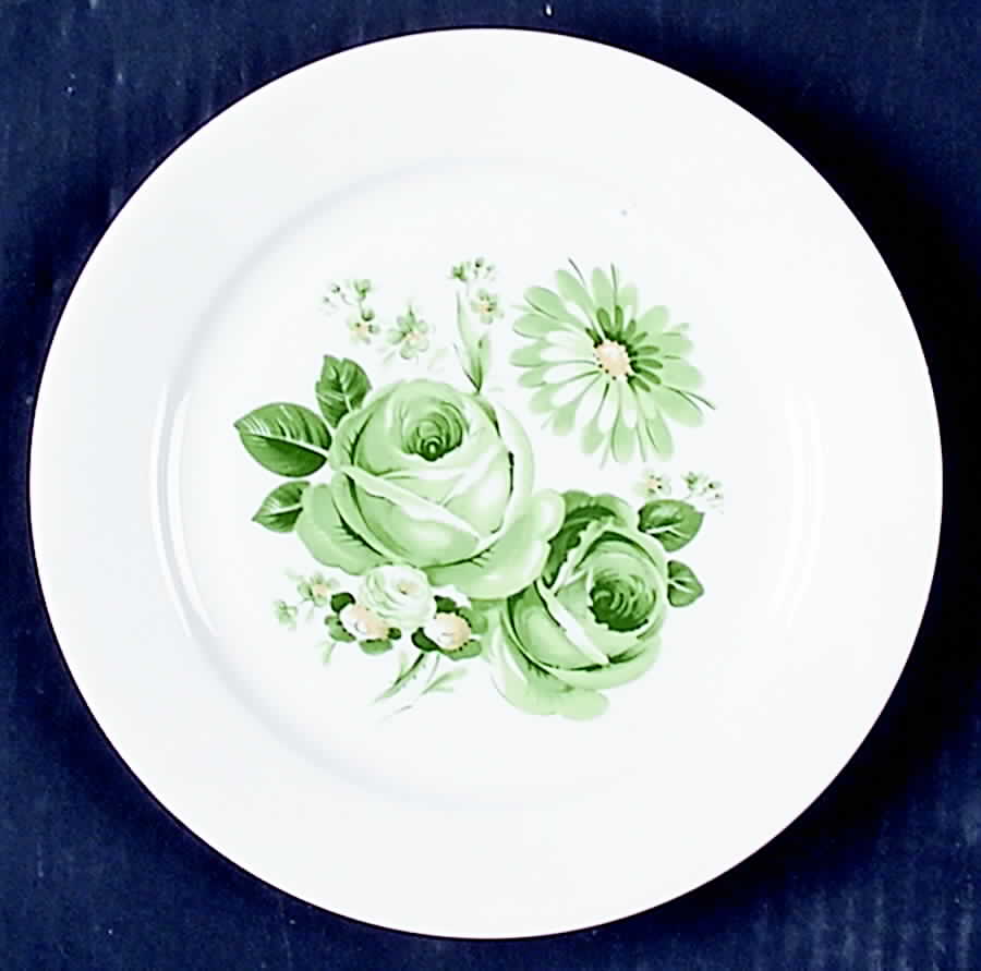 SCG51 Salad Plate by Schirnding-1