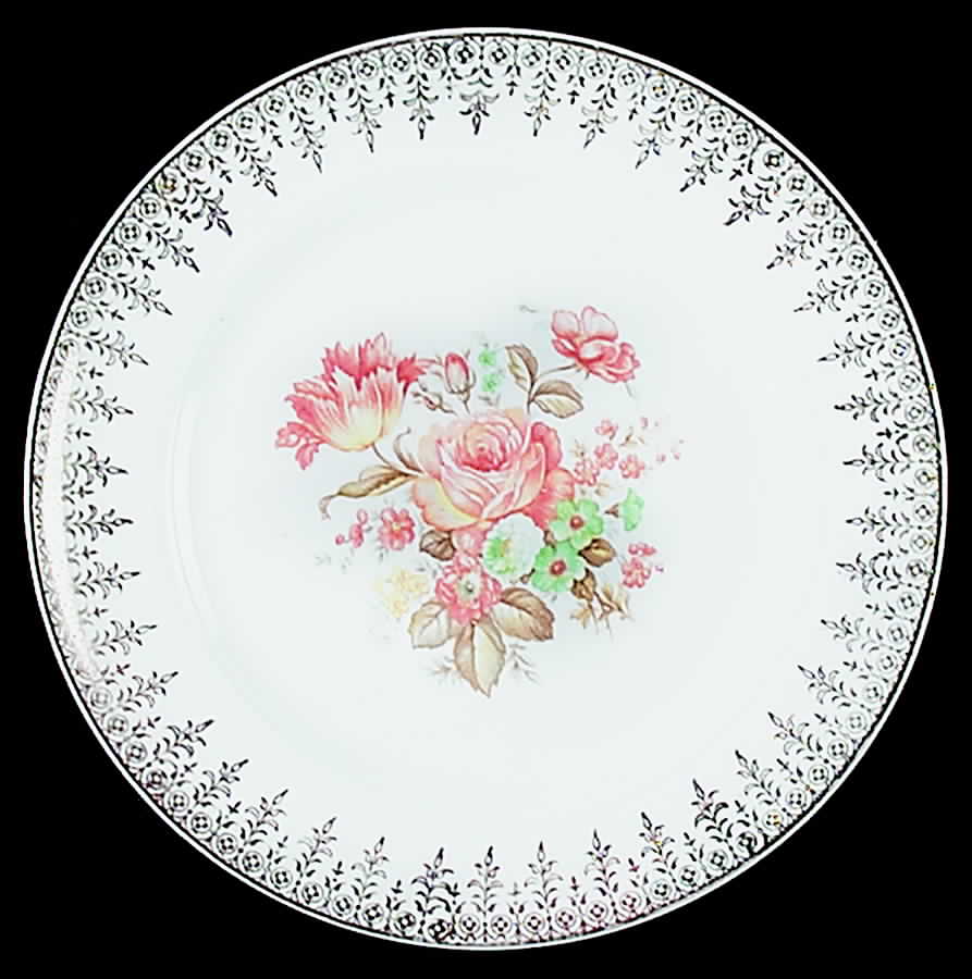 SLM256 Bread & Butter Plate by Salem-1