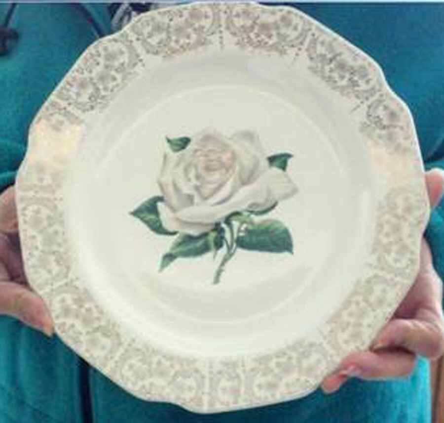 SAB70 Dinner Plate by Sabin-1