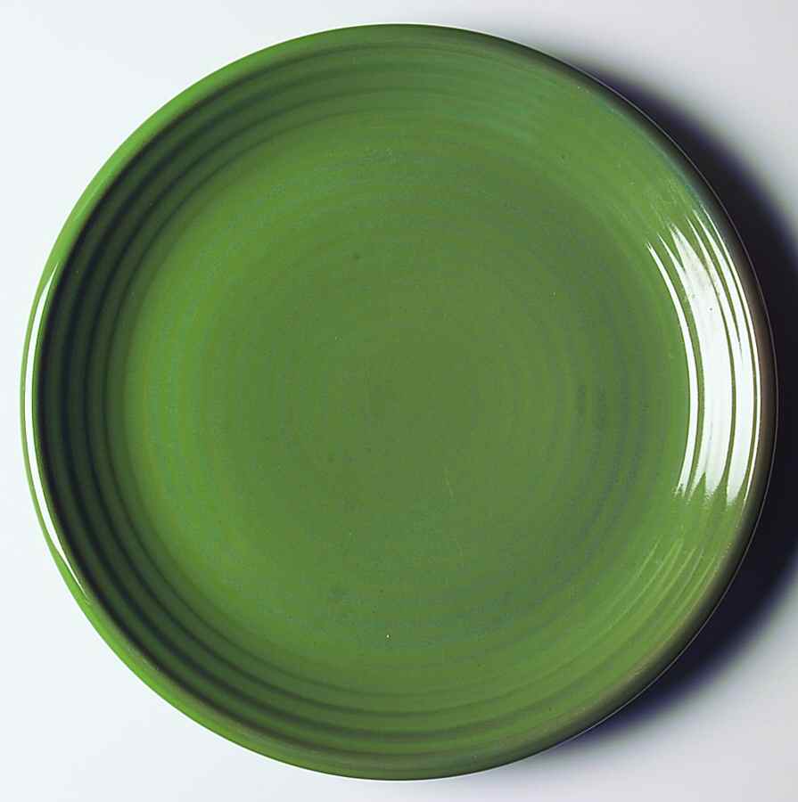 Eternity Colors Terra Green Dinner Plate by Sakura-1