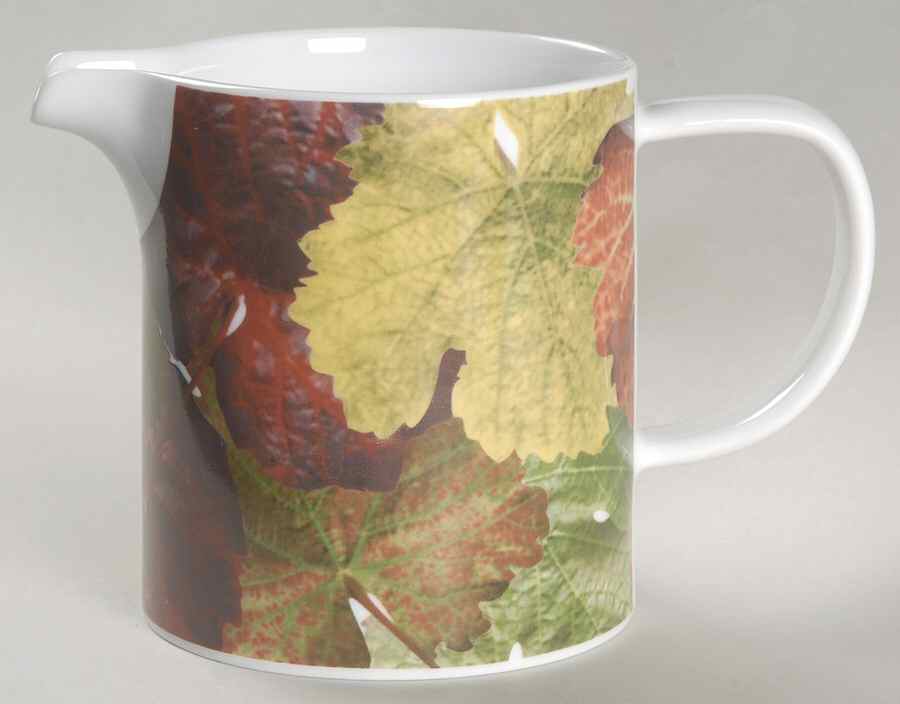 Leaf Harmony 16 Oz Pitcher by Studio Nova-1