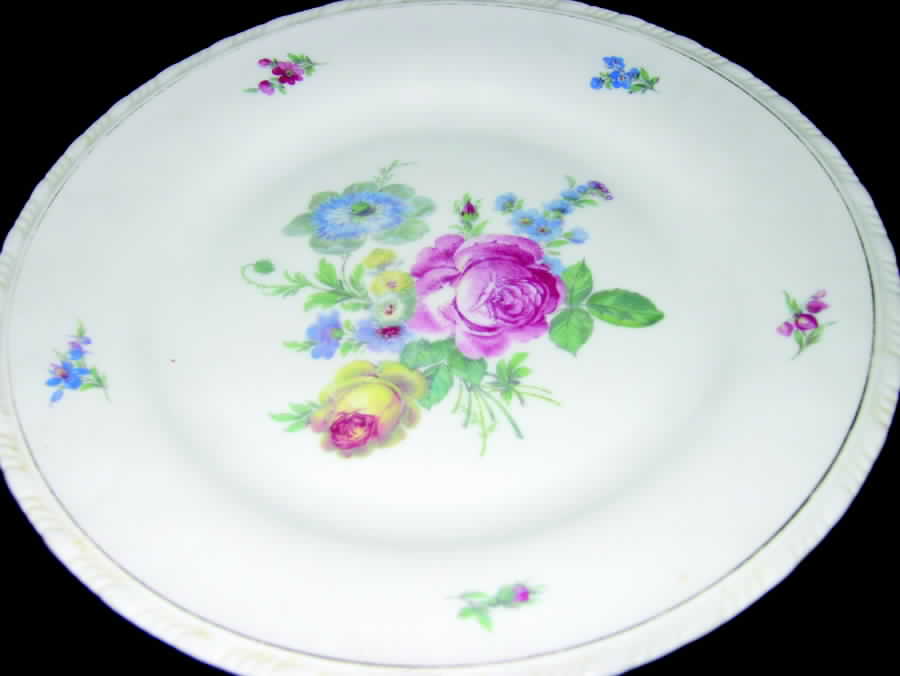 HCZ265 Dinner Plate by Haas-Czjzek Coronado-1