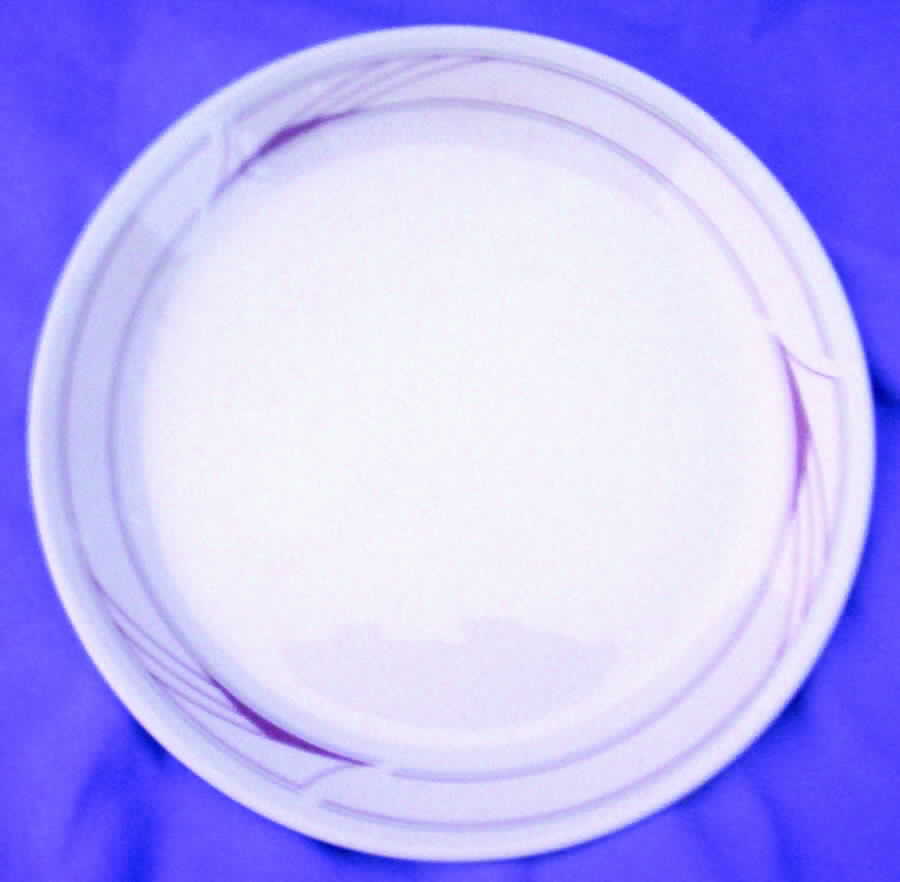 SY497 Salad Plate by Syracuse-1