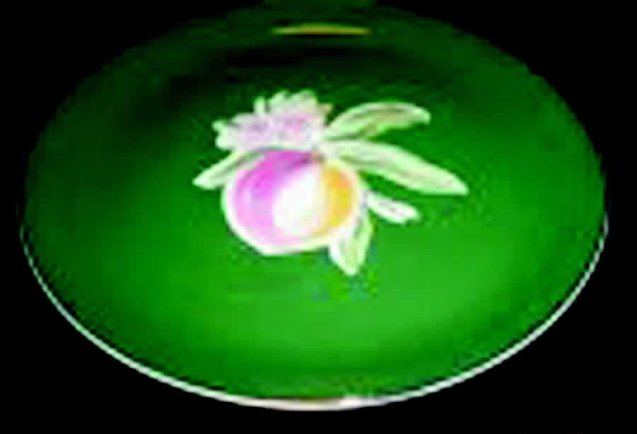 Plantation Dinner Plate by Salem-1