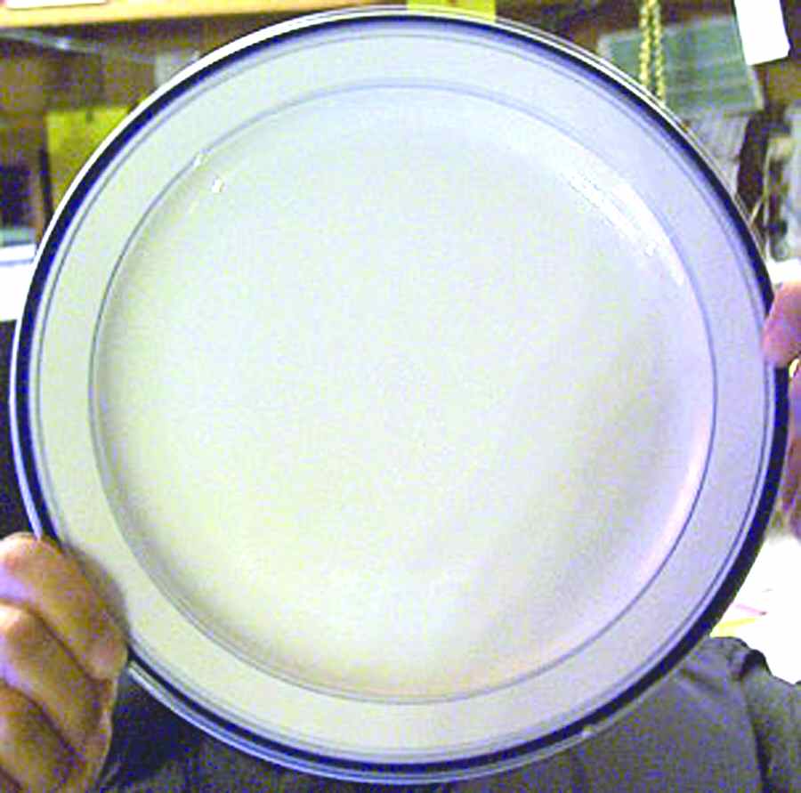 SPZ5 Dinner Plate by Spal Porcelanas-1