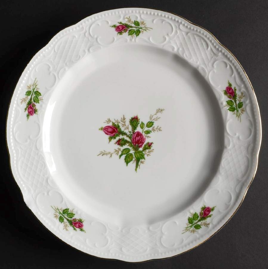 SLT287 Dinner Plate by Seltmann-1