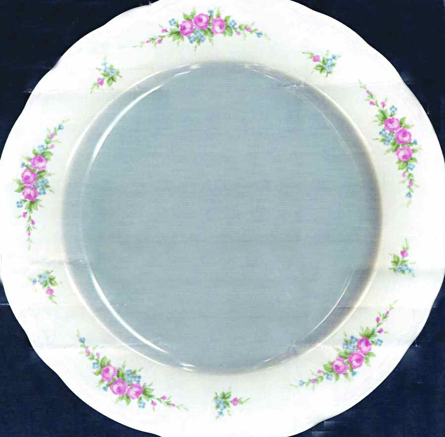 SLT289 Dinner Plate by Seltmann-1