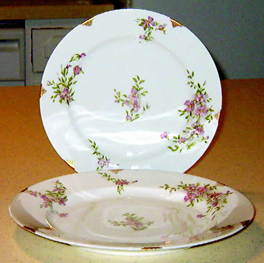 SY677 Dinner Plate by Syracuse-1