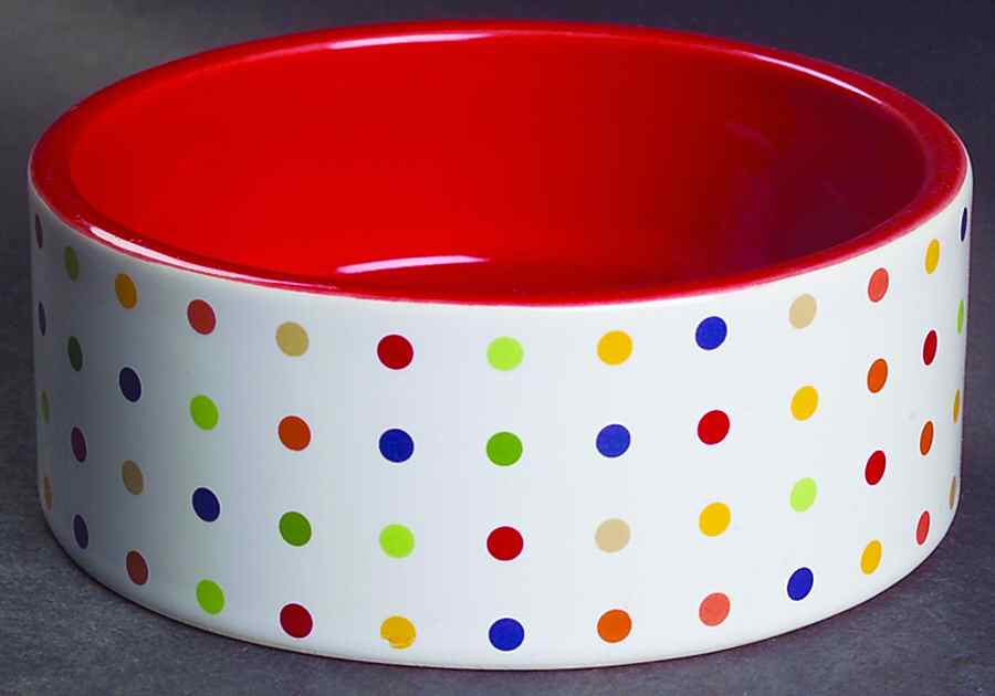 Forma Polka Dots Ramekin by Signature-1