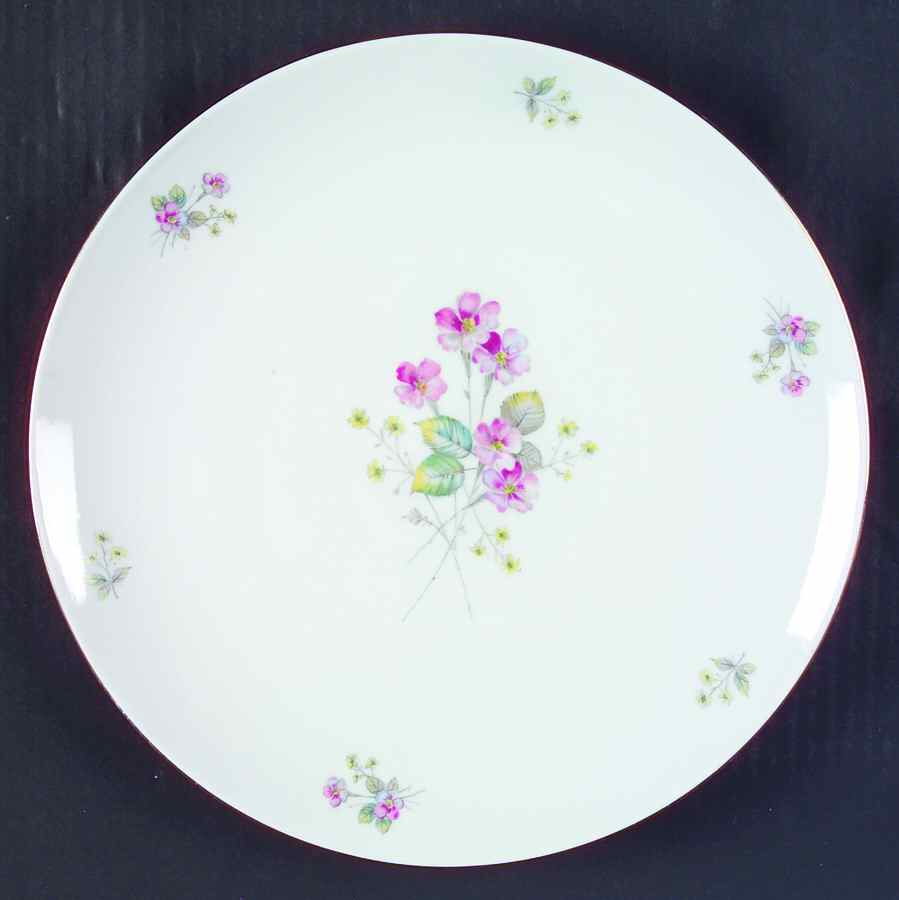 SCH417 Dinner Plate by Schumann - Bavaria-1