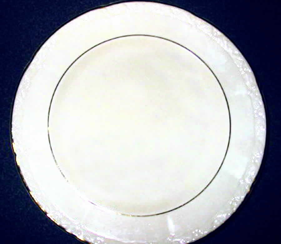 SLM260 Dinner Plate by Salem-1
