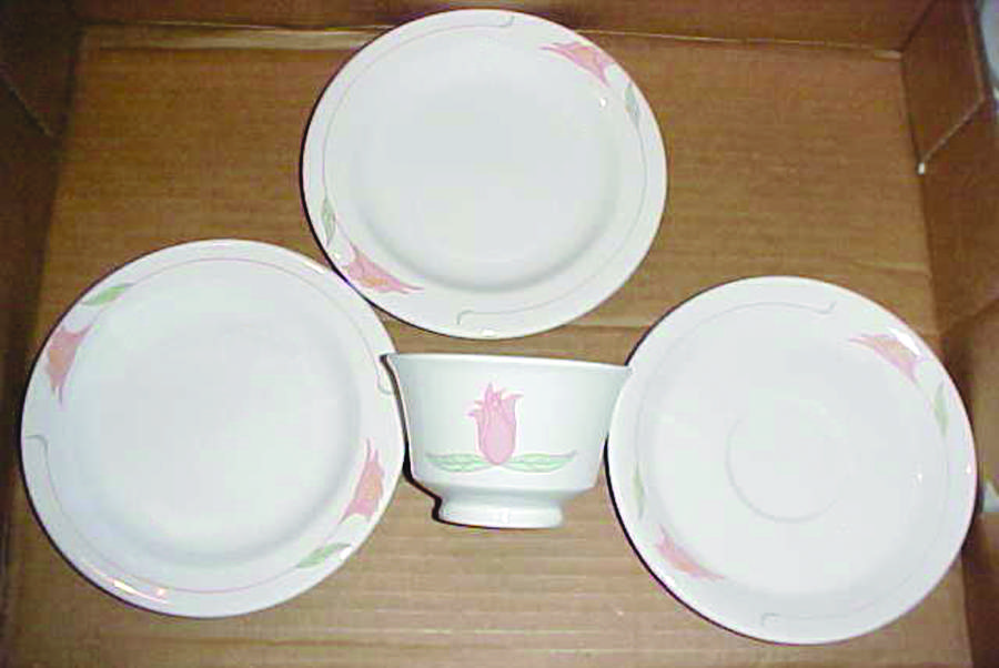 Festa Dinner Plate by Syracuse-1