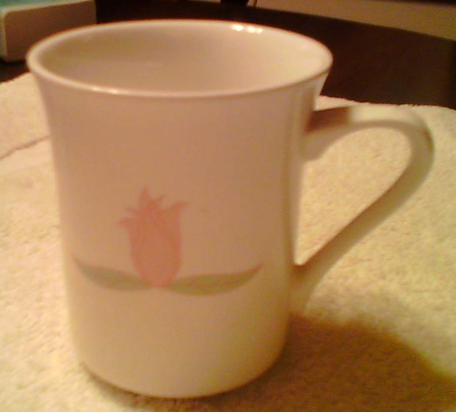 Festa Mug by Syracuse-1