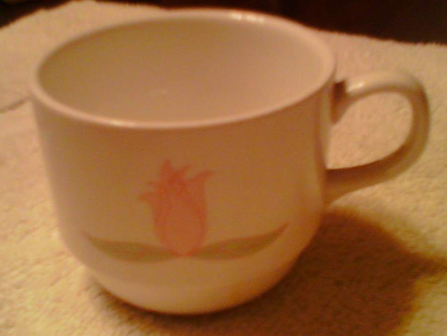 Festa Stacking Cup by Syracuse-1