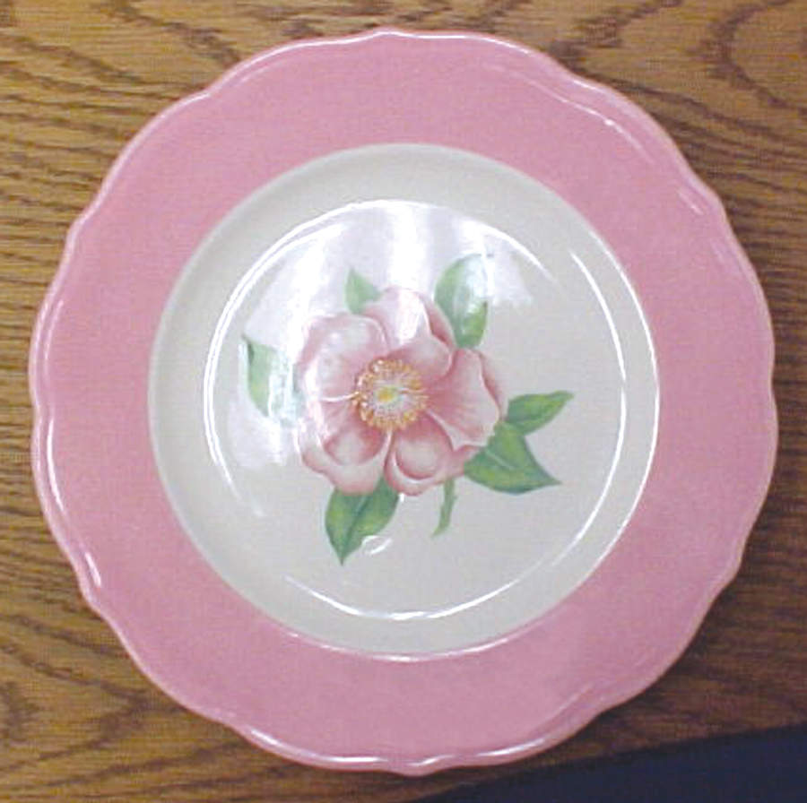 SY682 Dinner Plate by Syracuse-1