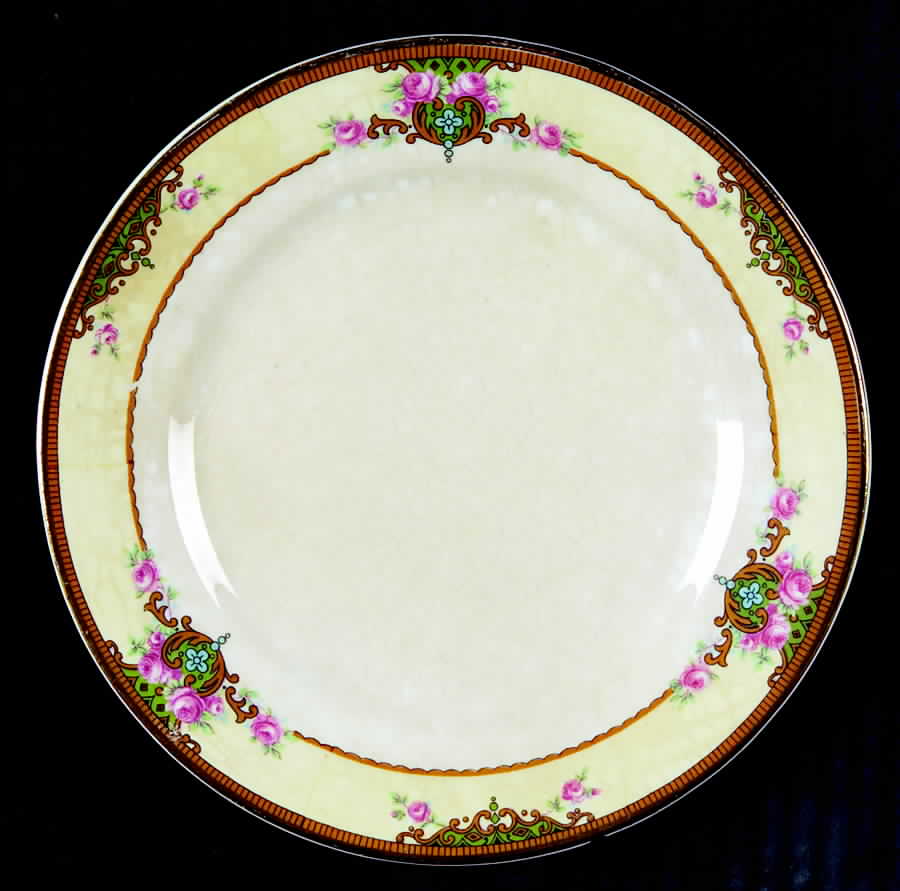 SLM263 Bread & Butter Plate by Salem-1