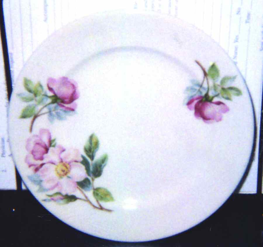 SY687 Bread & Butter Plate by Syracuse-1