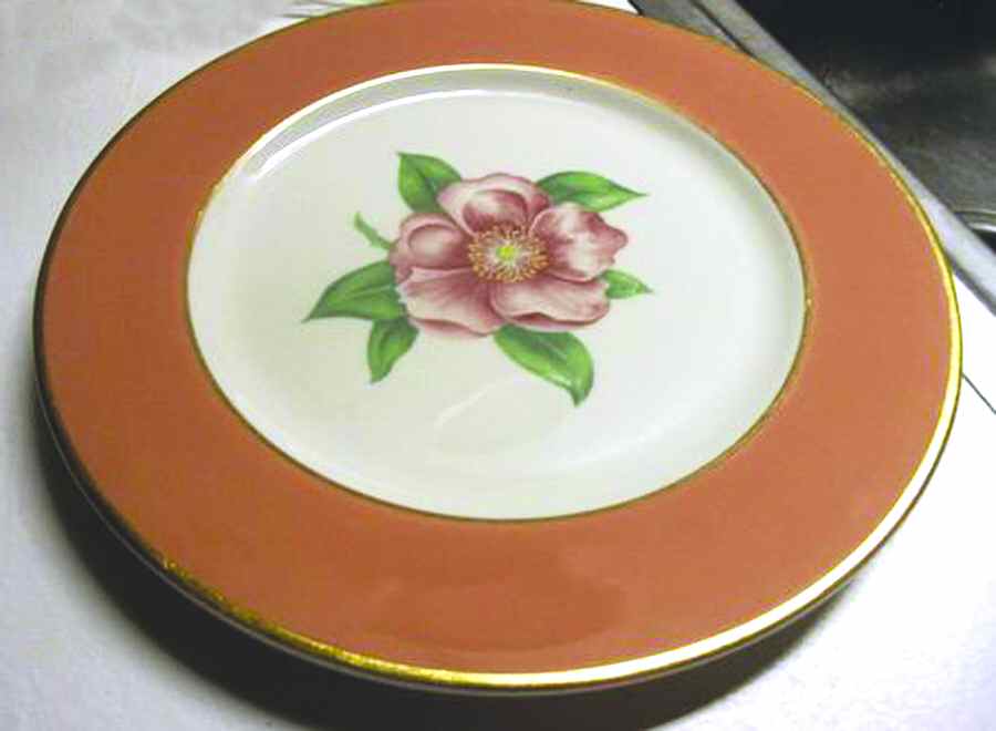SY689 Dinner Plate by Syracuse-1