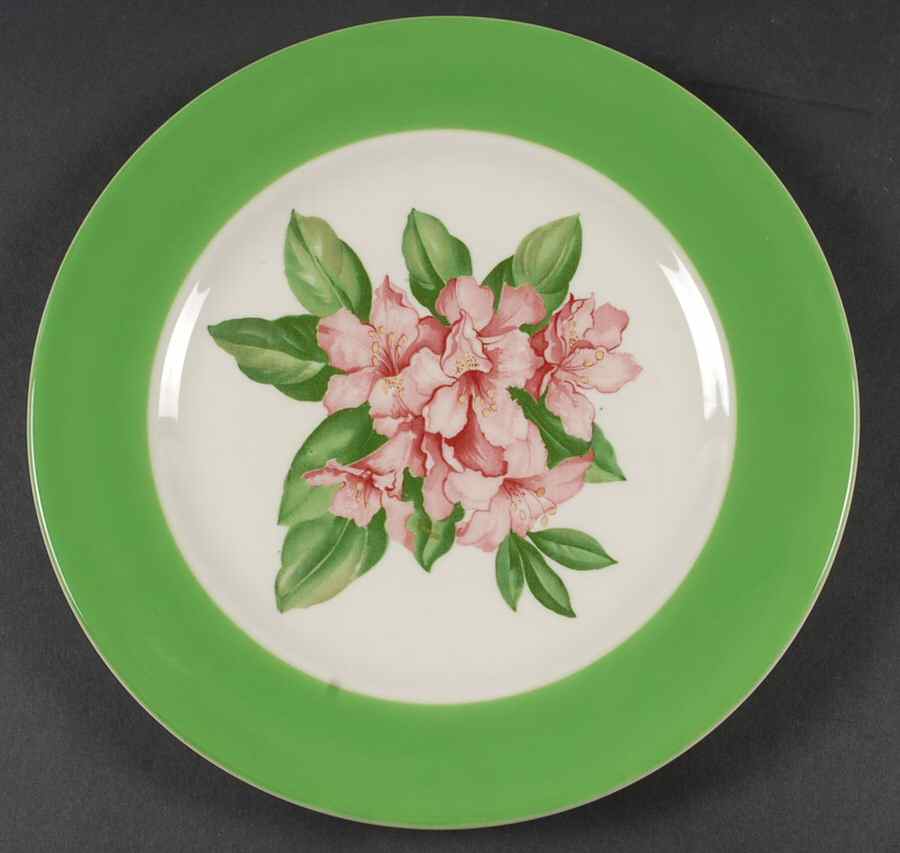 SY170 (No Trim) Dinner Plate by Syracuse-1