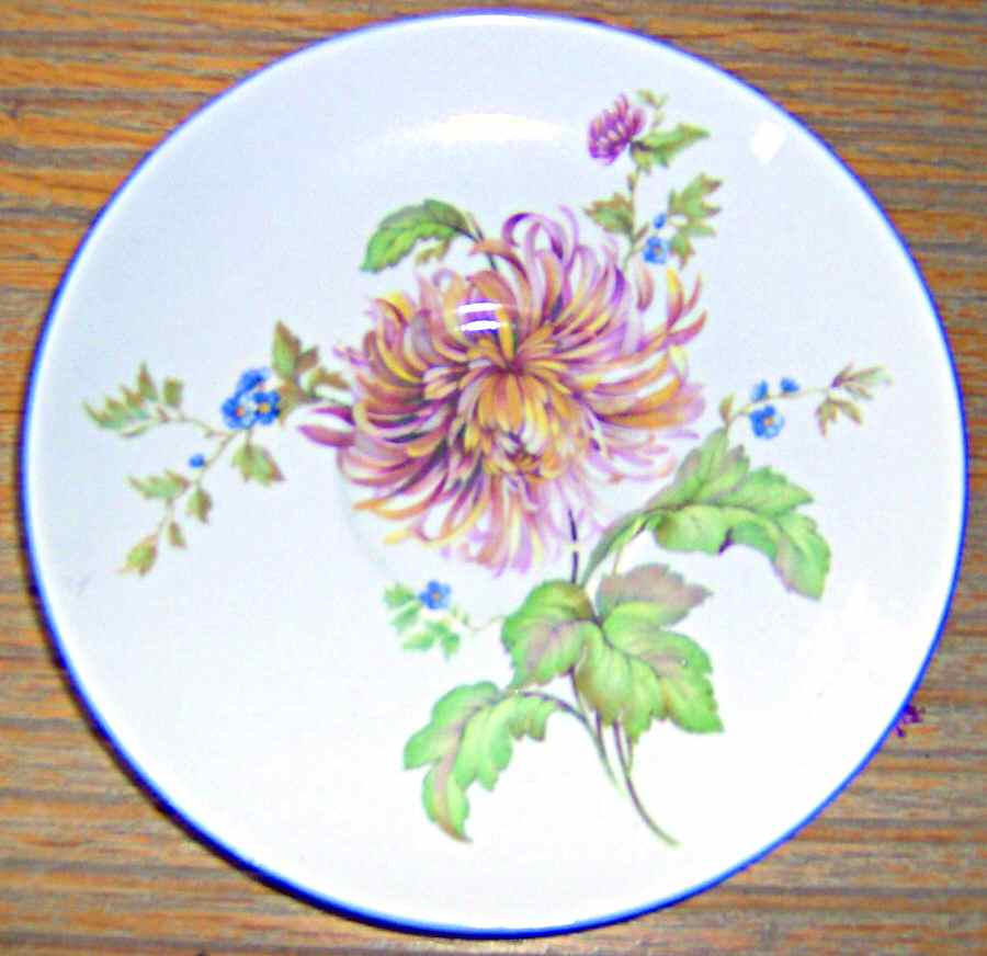 SHE49 Saucer by Shelley-1