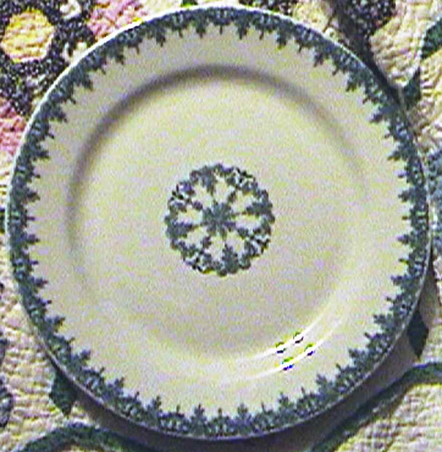 SHO247 Accent Luncheon Plate by Shenango-1
