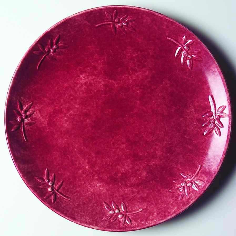 Winter Fields Service Plate (Charger) by Sonoma Home-1