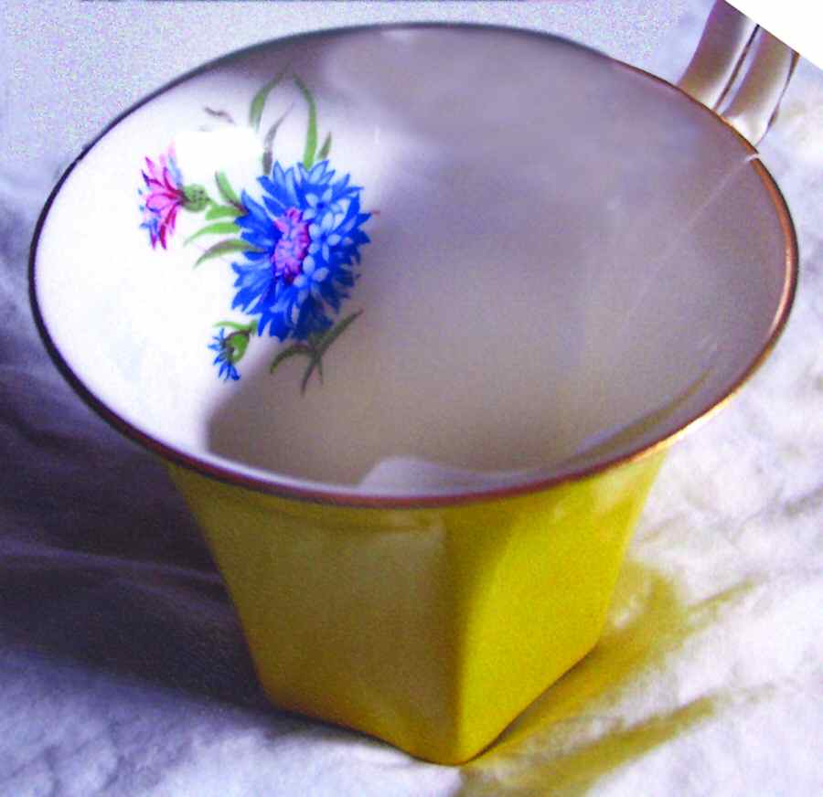2988Y Flat Cup by Salisbury-1