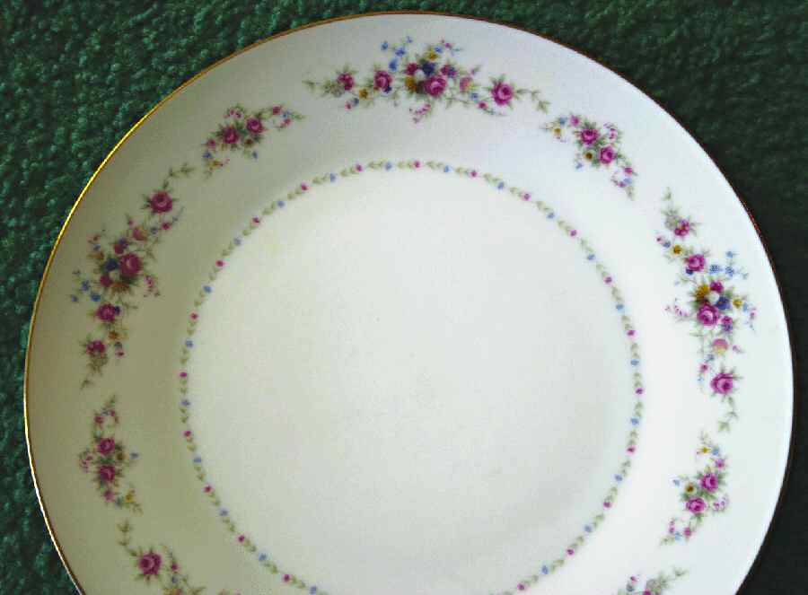 SAN82 Dinner Plate by Sango-1