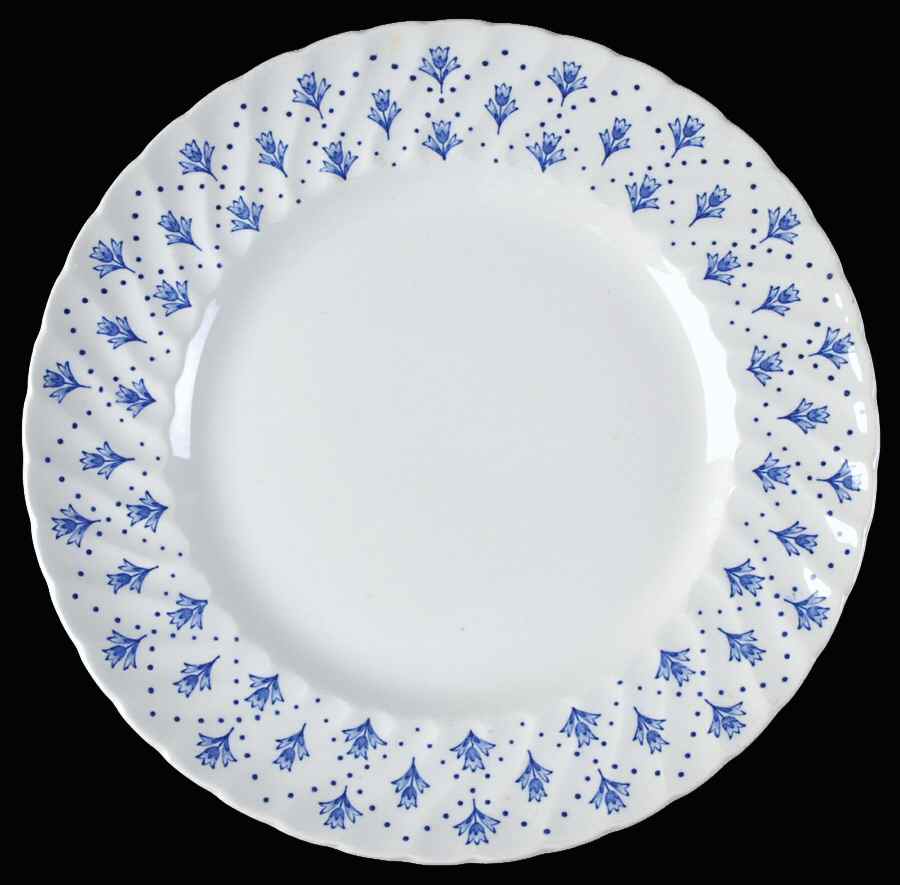 Bijou Dinner Plate by Swinnertons-1