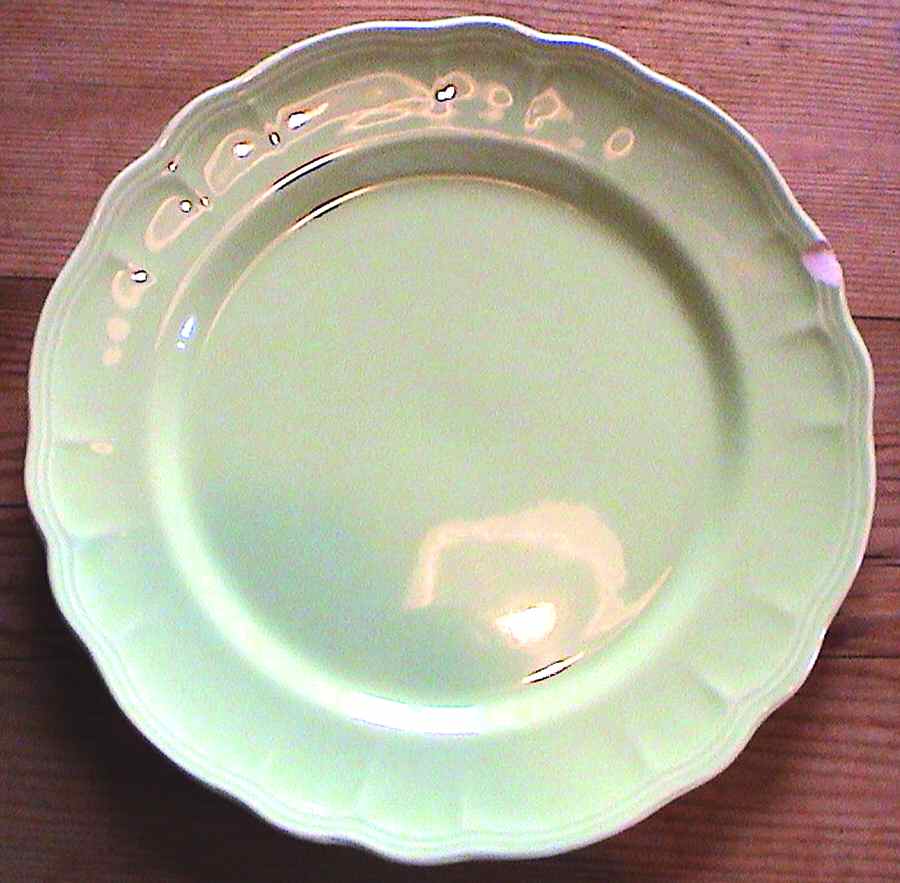 SLN5 Dinner Plate by Salins (France)-1