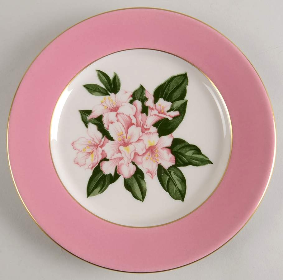 SHO249 Dinner Plate by Shenango-1