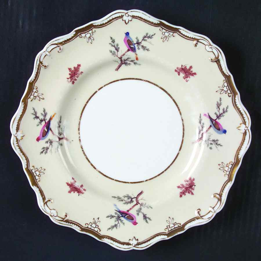 4750 Luncheon Plate by Spode-1
