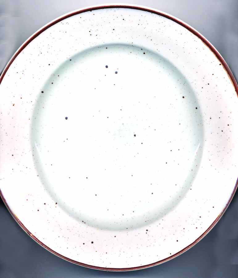 Studio Brown Dinner Plate by Sampson Bridgwood-1