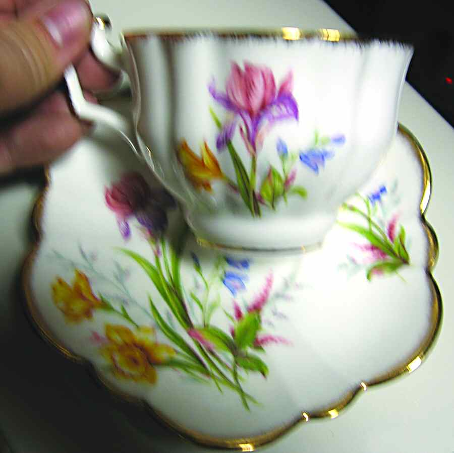 2774A Flat Cup & Saucer Set by Salisbury-1