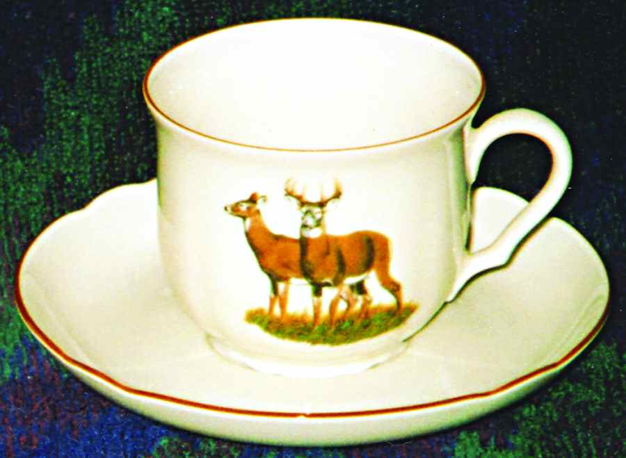 SLT308 Flat Cup & Saucer Set by Seltmann-1