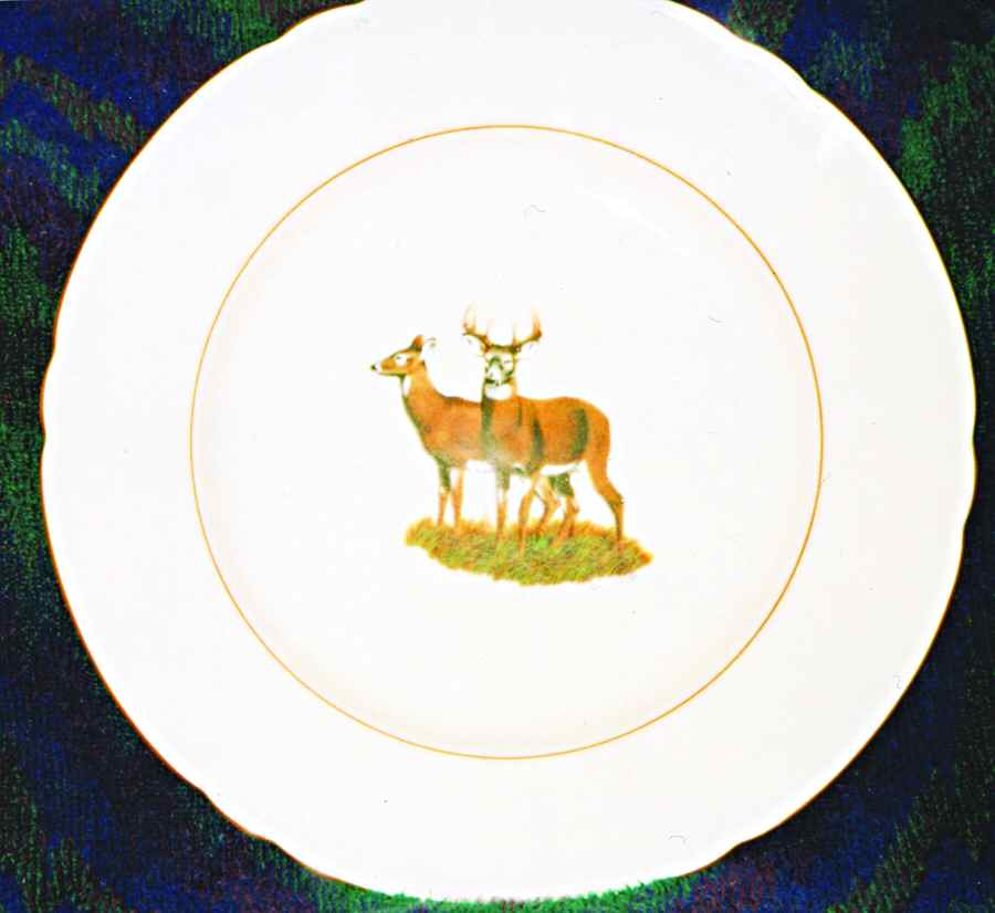 SLT308 Dinner Plate by Seltmann-1