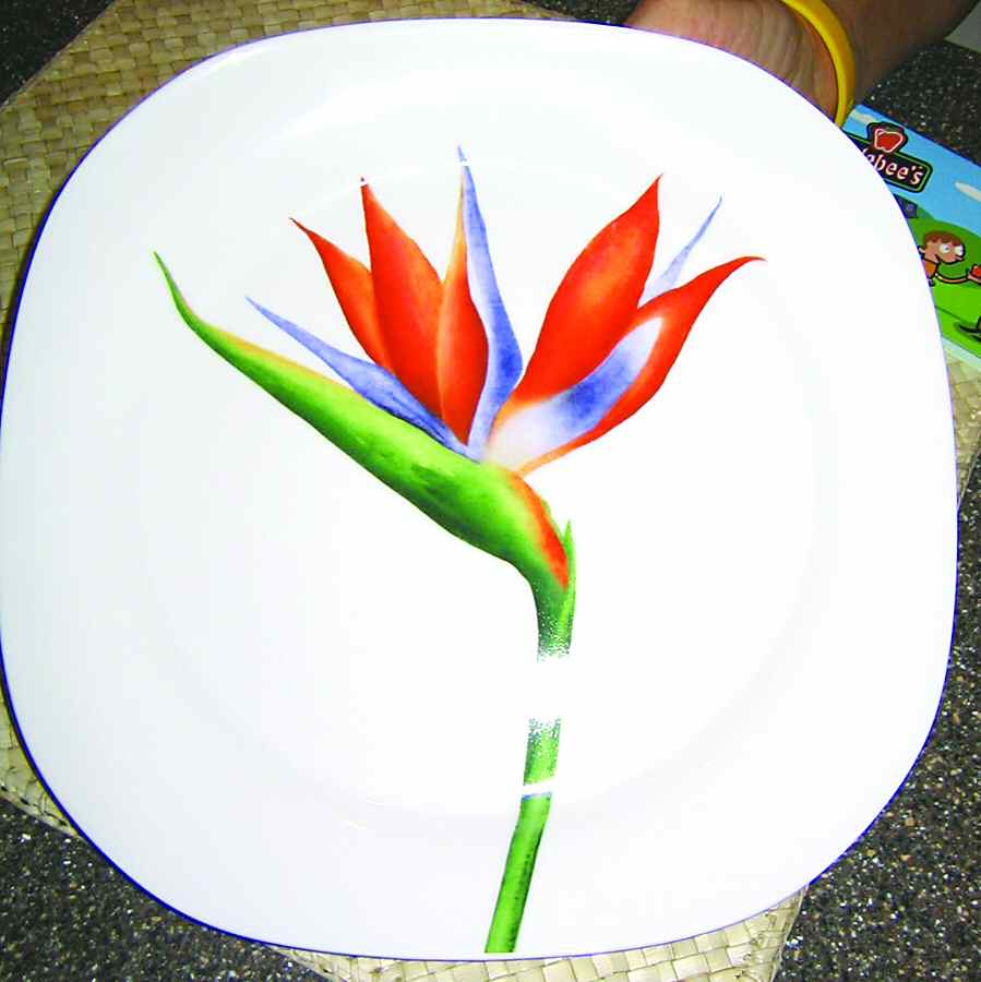 SDT1 Dinner Plate by Studio Concept-1