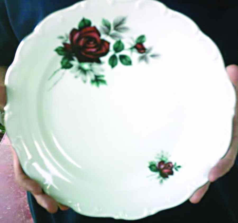 SCH446 Dinner Plate by Schumann - Bavaria-1