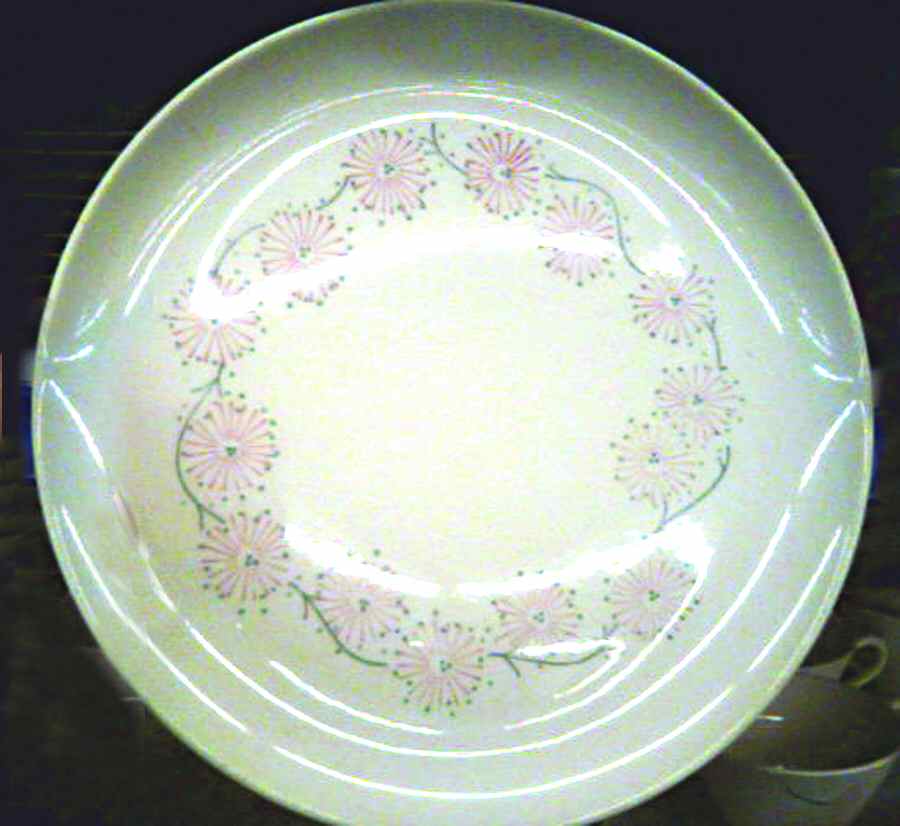 STT283 Dinner Plate by Stetson-1