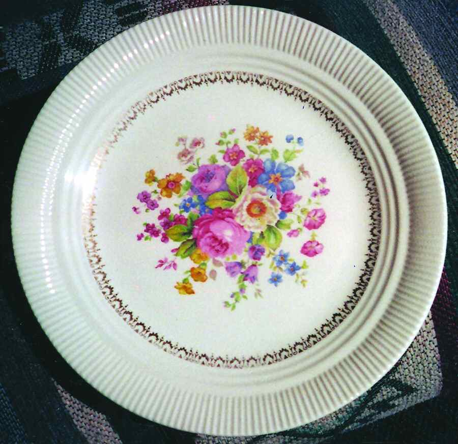 SLM277 Dinner Plate by Salem-1